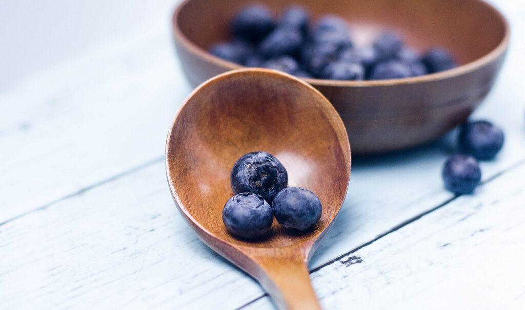 can dogs eat blueberries
