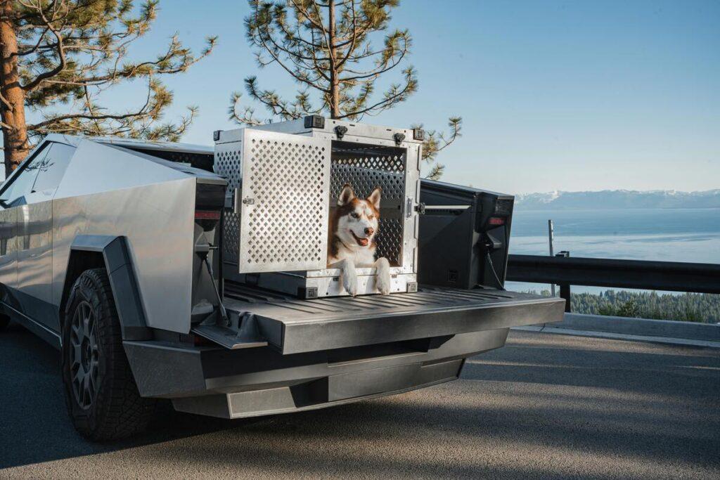 Best dog travel crate for car with husky in Tesla Cybertruck