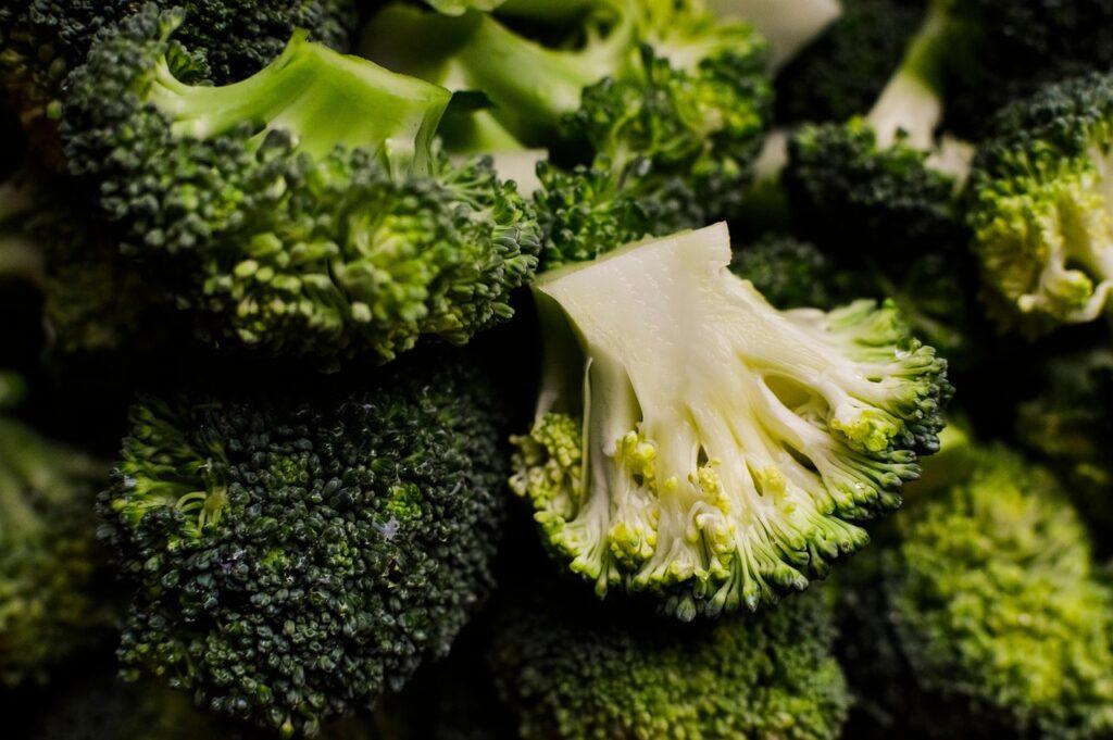 Fresh broccoli florets - Can dogs eat broccoli