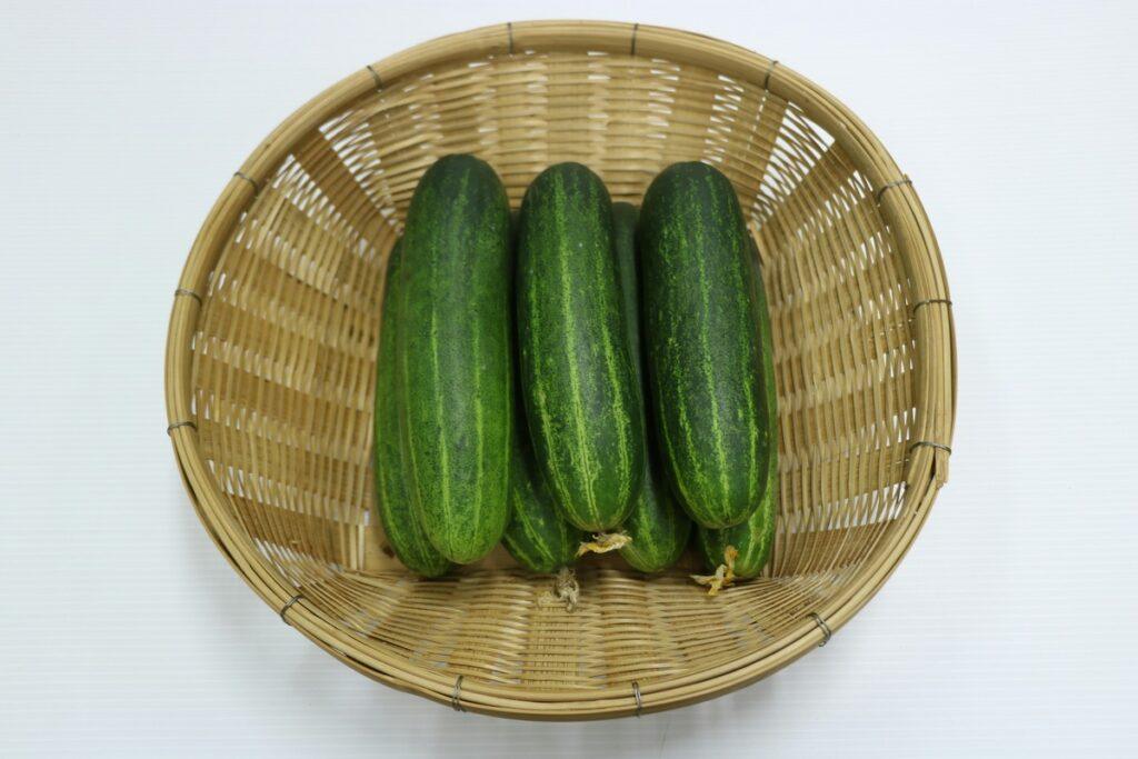 Fresh cucumbers in basket – can dogs eat cucumbers