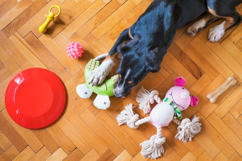 Various chew toys for aggressive dogs displayed on floor