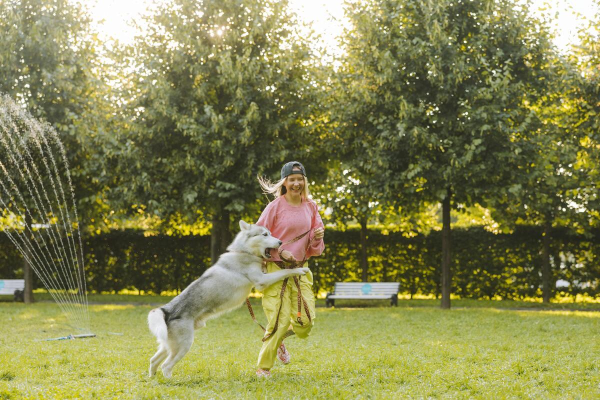 Playful dog jumping on a woman in the backyard during playtime