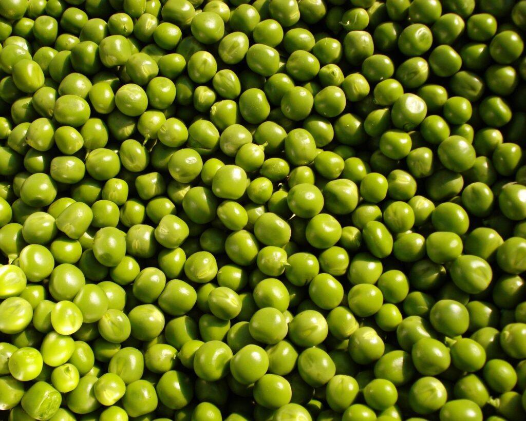 Fresh green peas - Can dogs eat peas