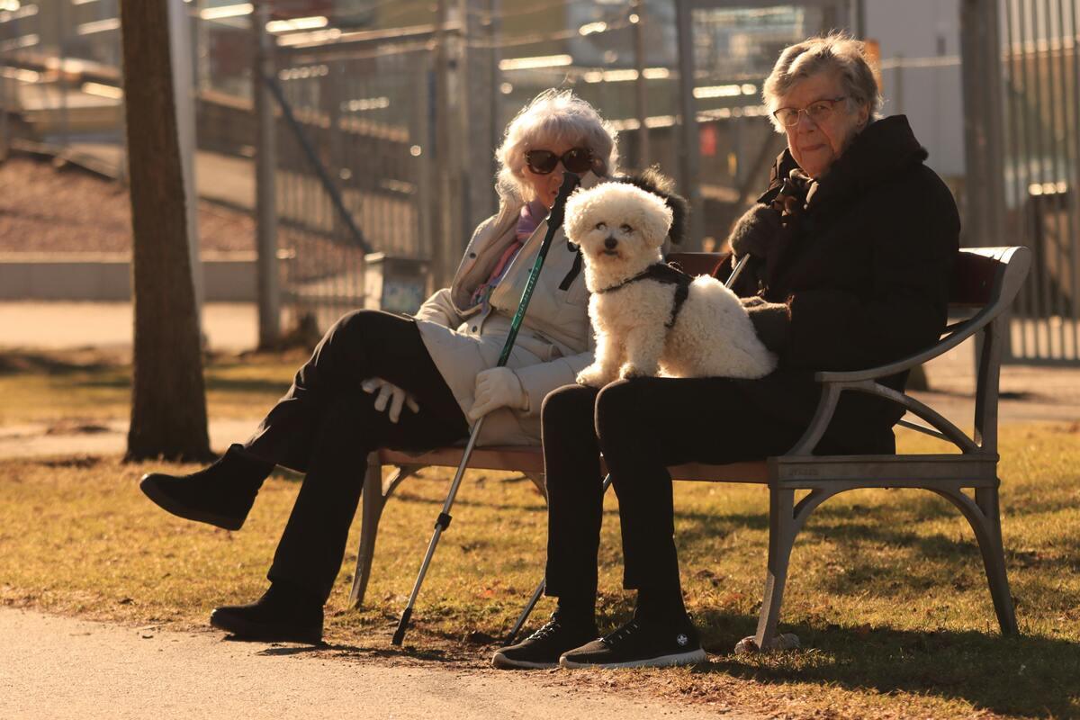 Best dogs for seniors – two elderly women sitting on a park bench with a calm small white dog