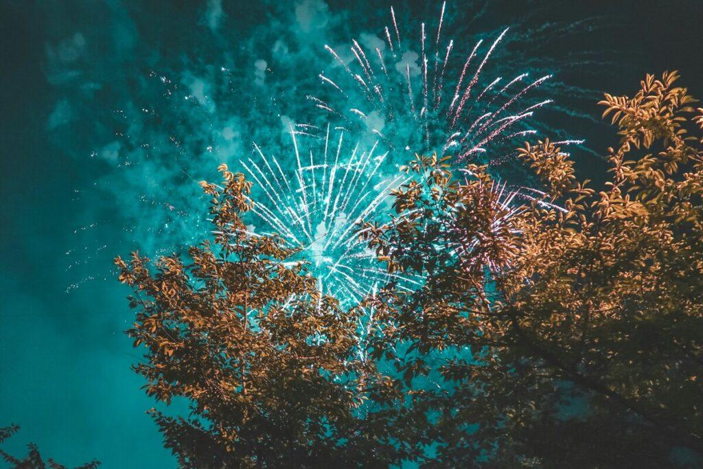 Bright fireworks in the night sky – helping dogs stay calm during fireworks