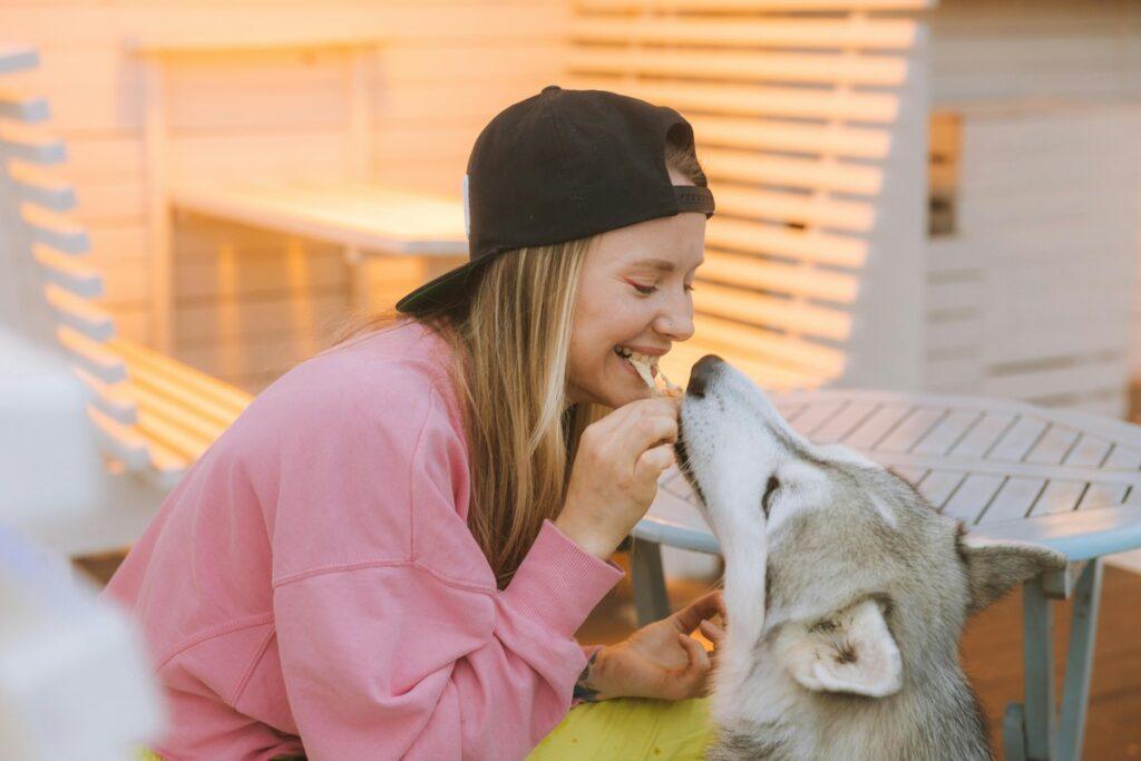 woman feeding husky a human foods safe for dogs
