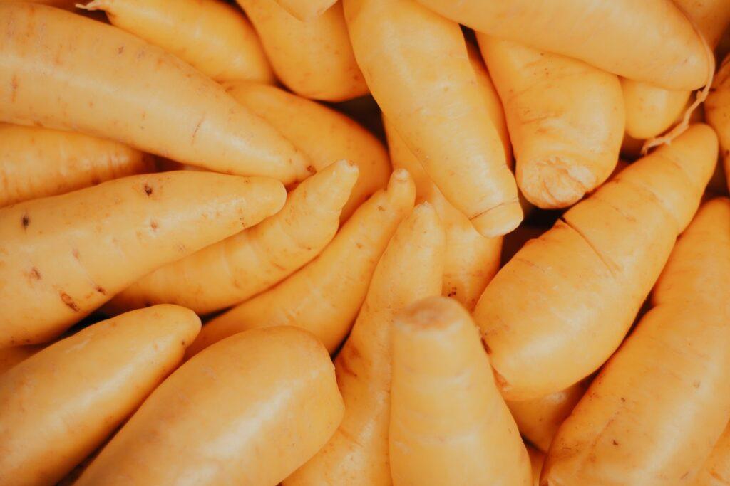 Sweet potatoes for dogs – nutritional benefits explained