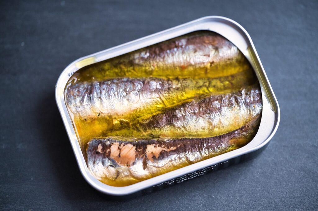 Are sardines good for dogs - Canned sardines for dogs – safe feeding option if packed in water without salt