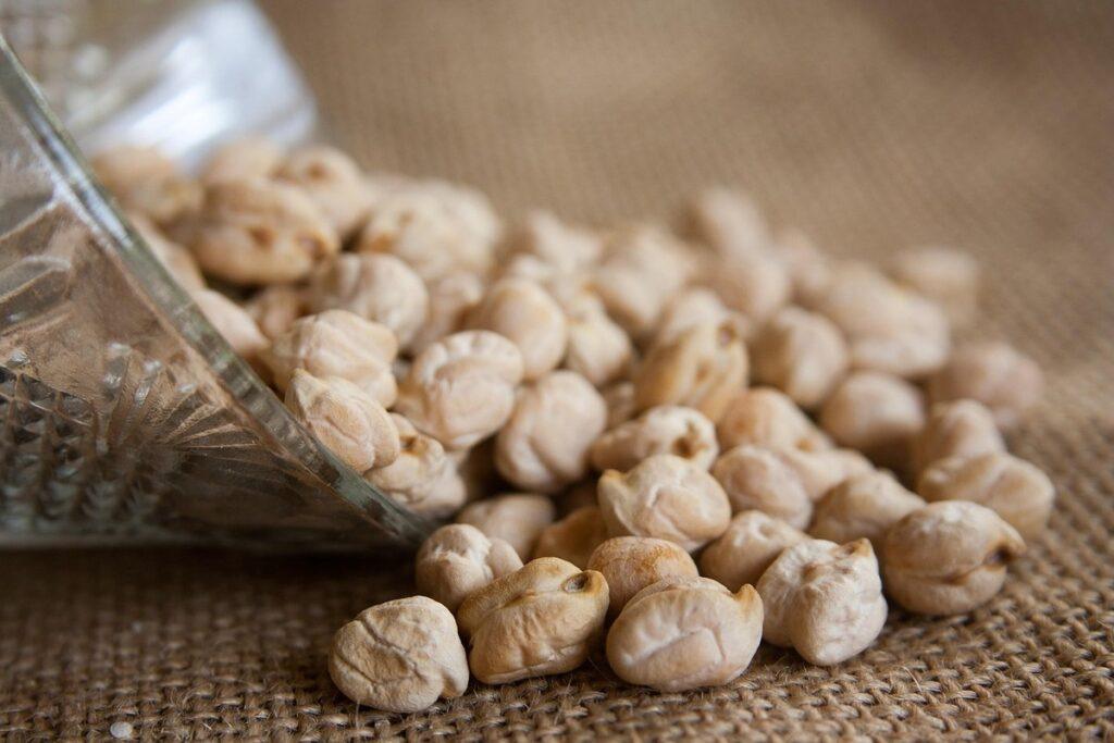 dog recipes with chickpeas
