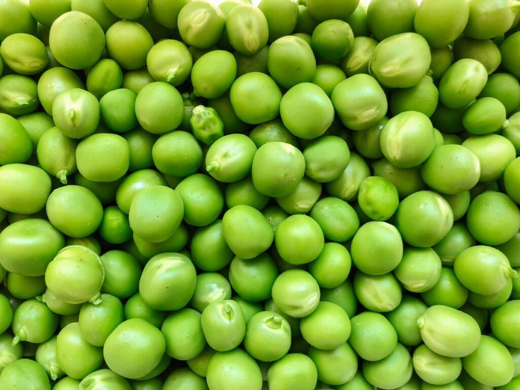can dogs eat green beans raw - Close-up of raw green beans – dog diet green beans weight loss