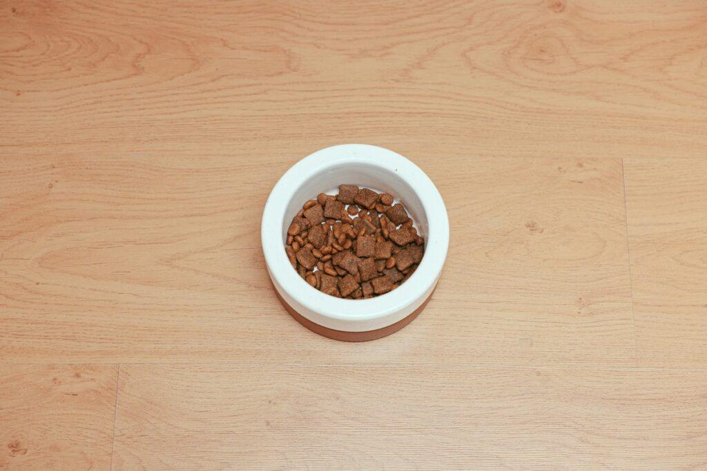 dog food for excessive flatulence