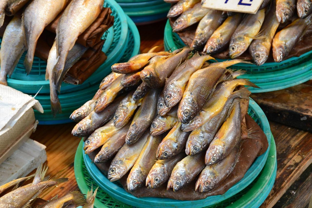 Fresh sardines for dogs – healthy raw option for canine diet