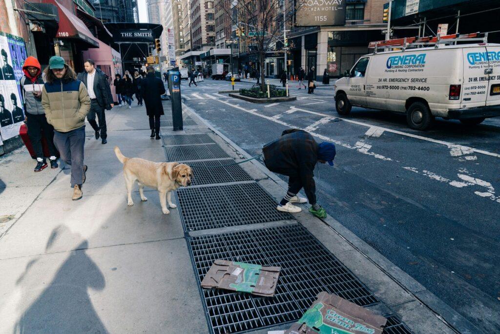 Man picking up dog poop in city using best dog poop bags for eco-friendly owners
