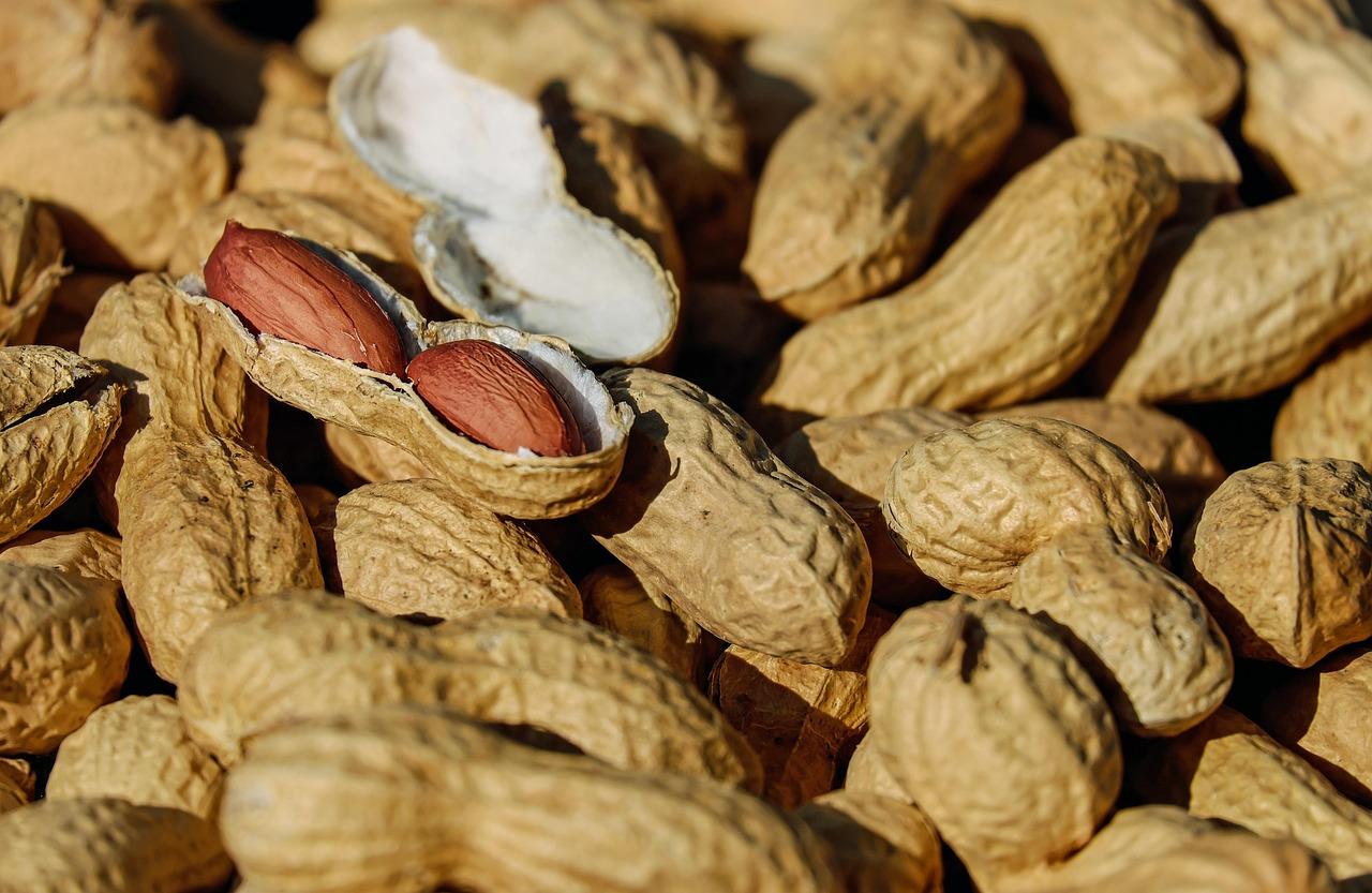 Opened peanut shells revealing nuts, related to the question can dogs eat peanuts safely